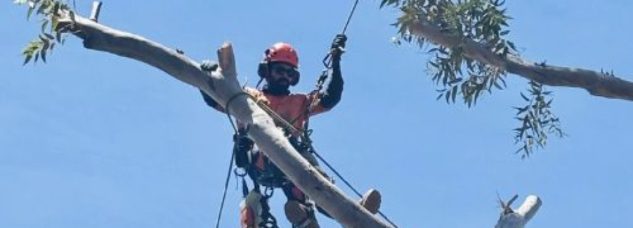 Banyan Tree Removal Cover Image