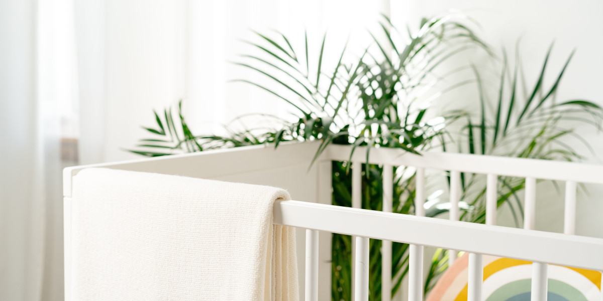 Why Everyone Is Talking About Affordable Cots Right Now