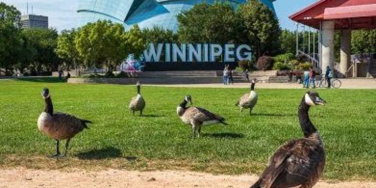 Seamless Relocations Made Easy with Trusted Movers