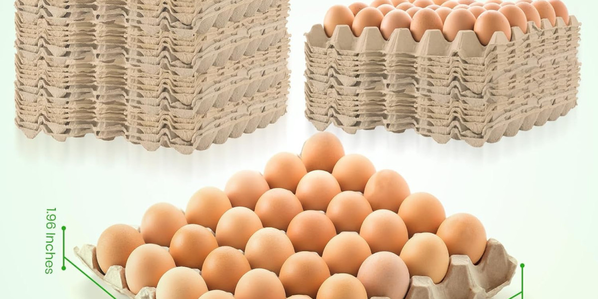Understanding Egg Cartons: Types, Uses, Benefits, and Sustainability