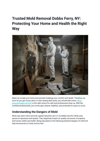 Trusted Mold Removal Dobbs Ferry, NY_ Protecting Your Home and Health the Right Way
