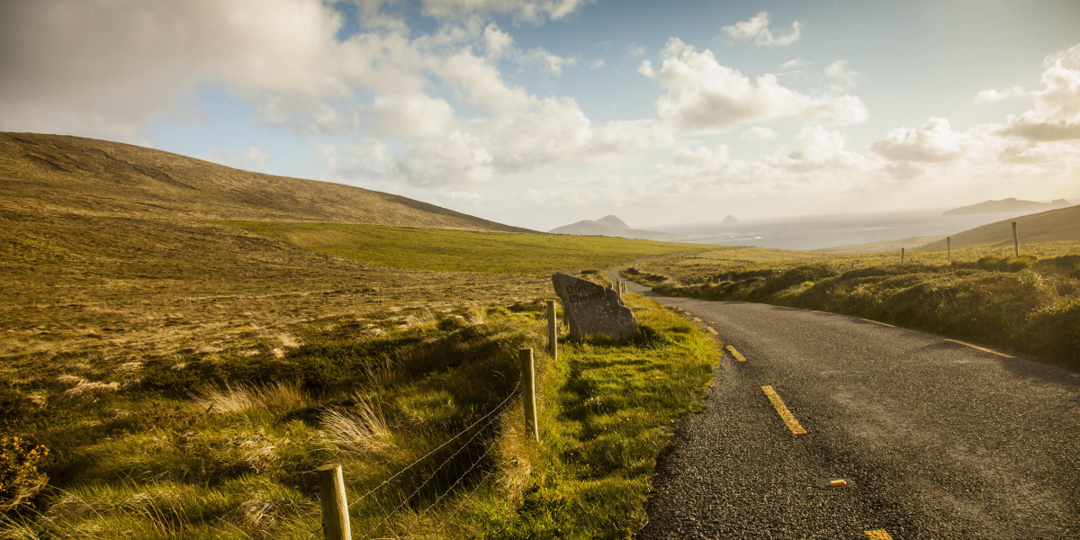 The 10 Most Scariest Things About Authentic Irish Driver's License