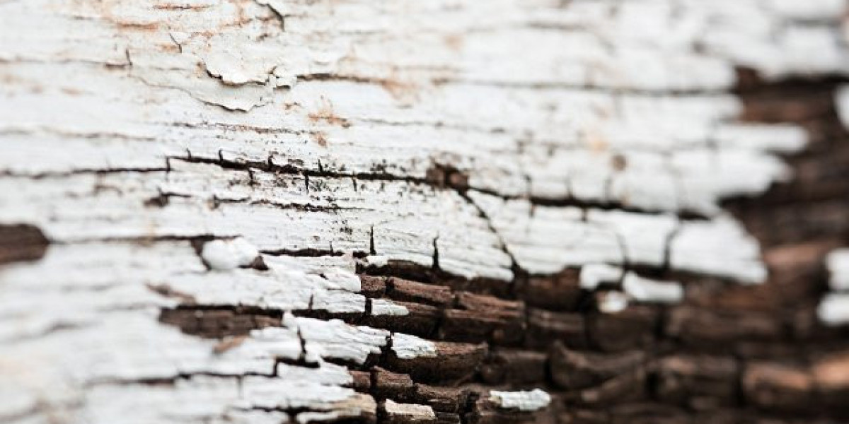 Gold Coast Hotel & Casino Review: What To REALLY Expect If You Stay