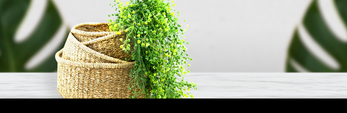 Back To Baskets Cover Image