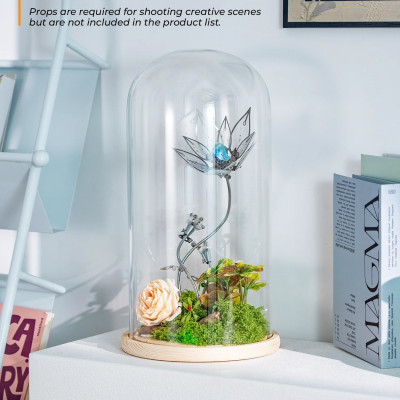 Aurora Profile Picture