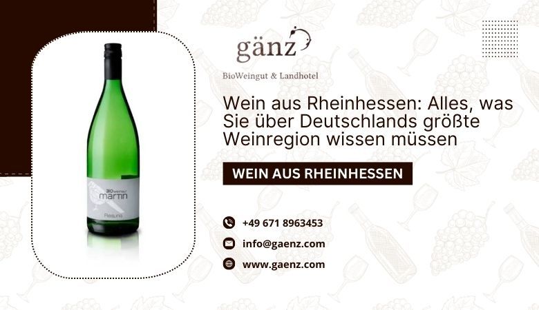 BioWeingut Gaenz — Wein aus Rheinhessen: Alles, was Sie über Deutschlands größte Weinregion wissen müssen