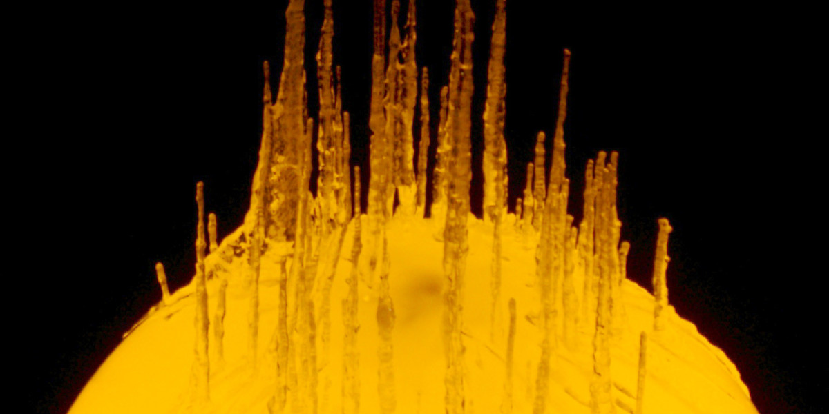 Australian Online Casino Reviews