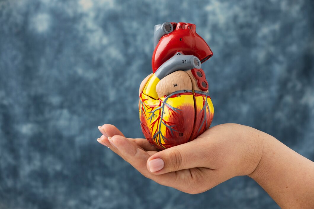 Early Signs of Heart Disease You Shouldn’t Ignore | JTS
