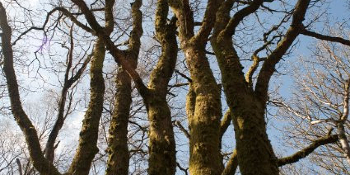 Best Hotel in Sydney