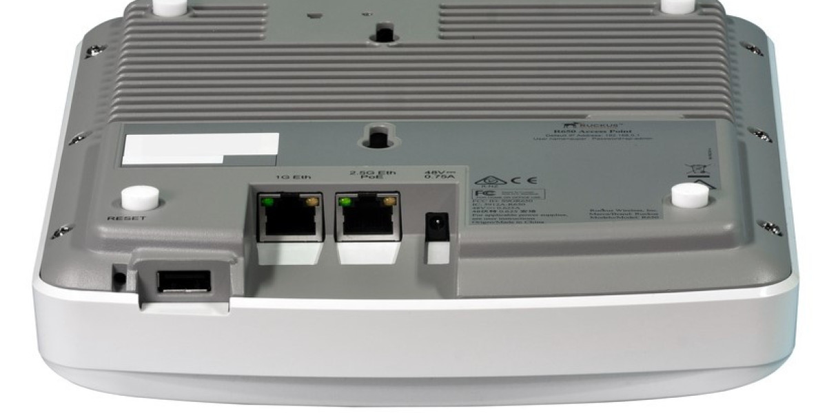 Unlock Ultimate Wi-Fi Performance with the Ruckus R650 Datasheet