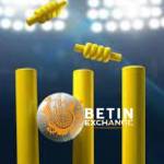 betting exchange Profile Picture