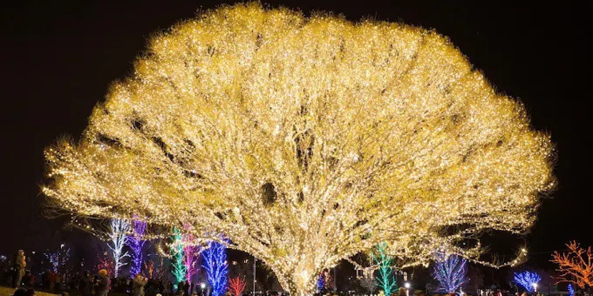 Lighting Up the Holidays: Christmas Lights in Frankston