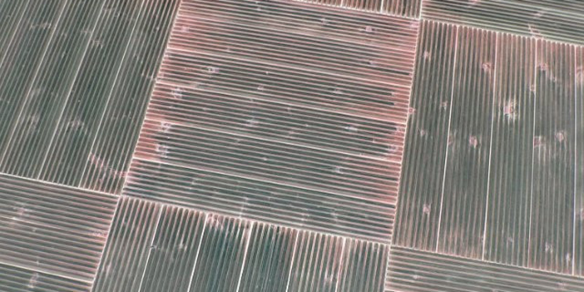 Meet the People Behind the Play