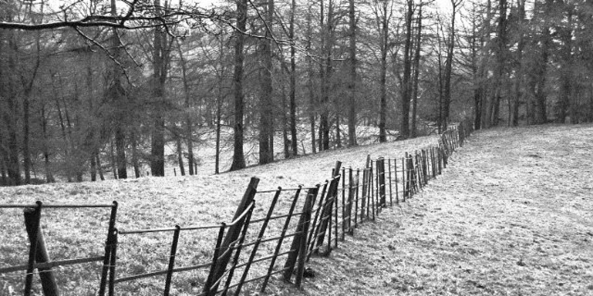 Sky Crown Casino Login Secure & Exclusive Bonuses