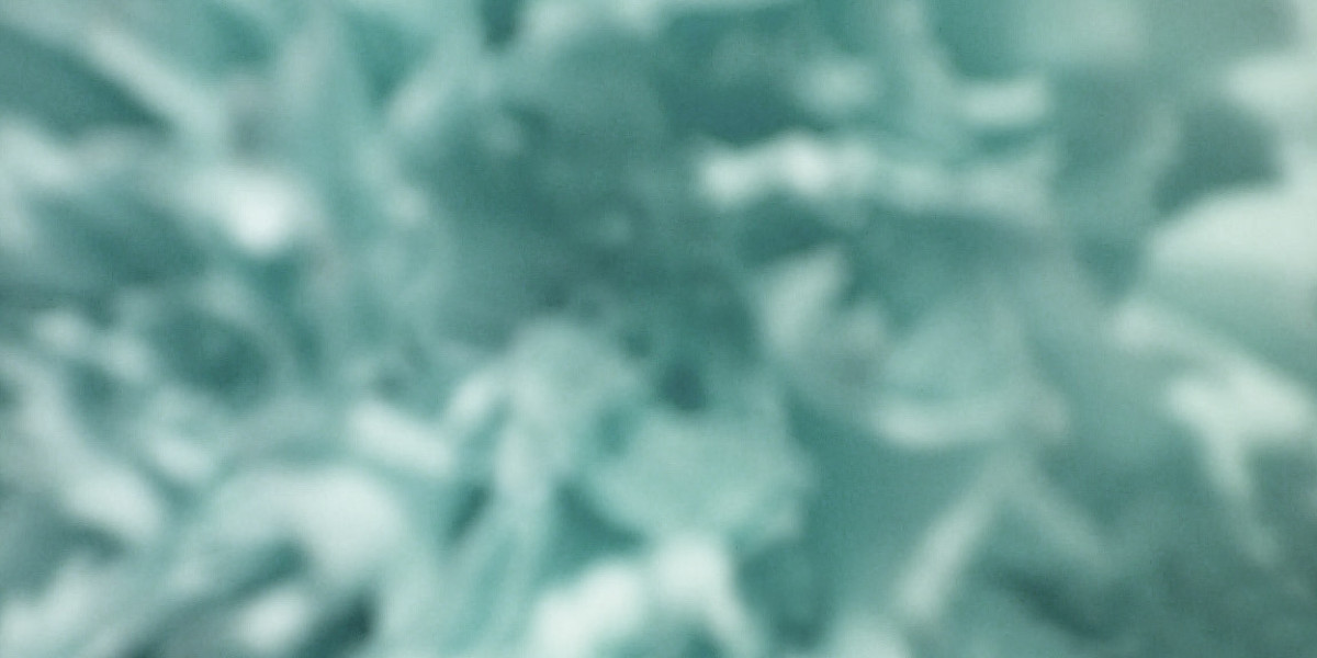 Best Online Live Casinos 2025 Play at the Top US Live Casinos