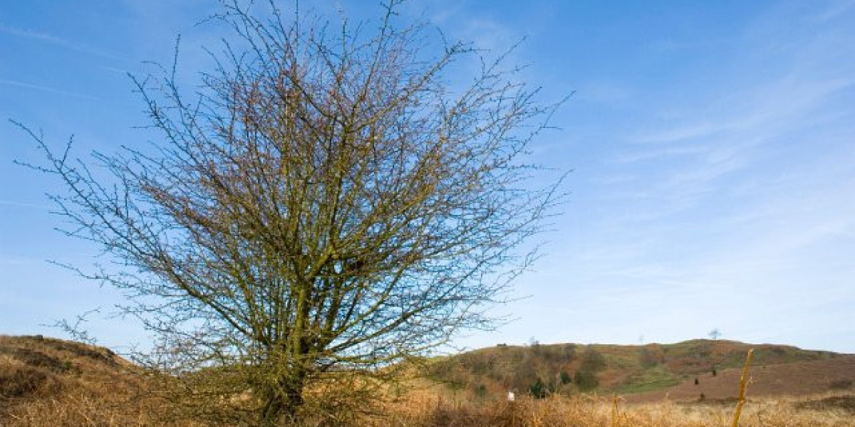 Queen's Wharf job fears as Star seeks approval for casino deal