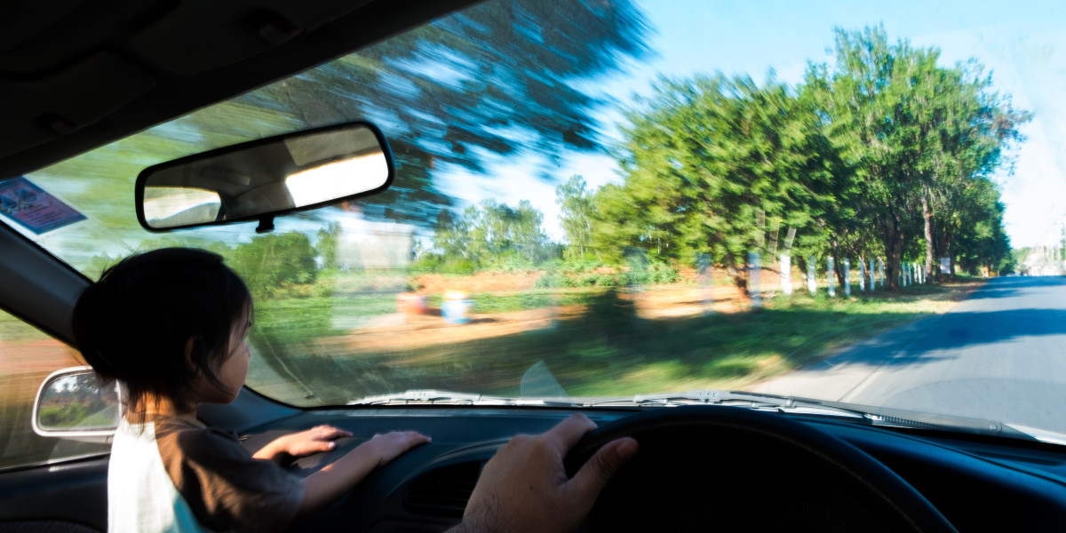 What Experts From The Field Of Czech Driving Experience Want You To Know