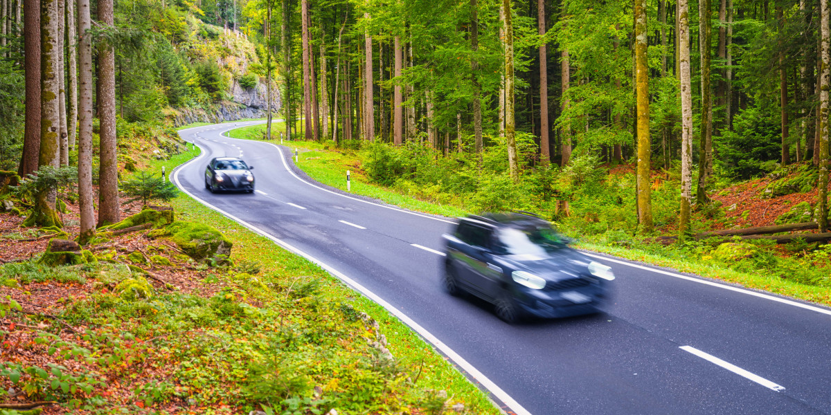 The Austria Drivers License Agency Mistake That Every Newbie Makes