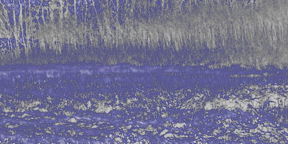 Meet the People Behind the Play