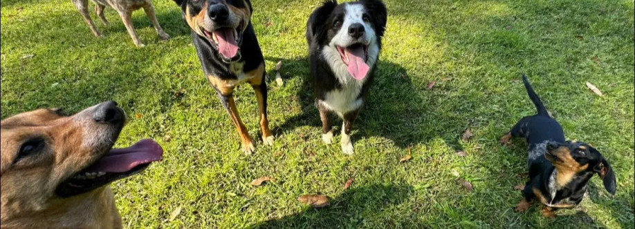 Always Able Pet Boarding Cover Image