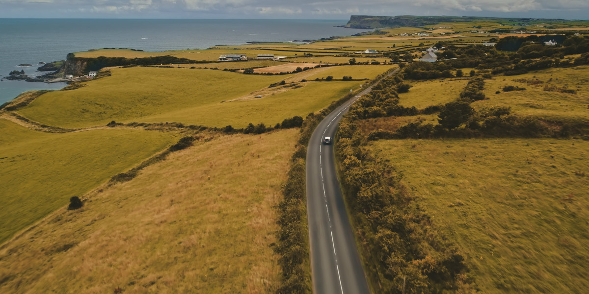 See What Buy A Driver's License In Ireland Tricks The Celebs Are Making Use Of