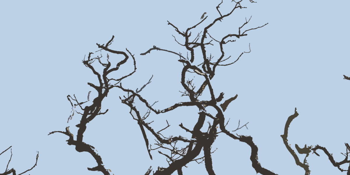 Login, Get Up To $5,000 Bonus + 200 FS