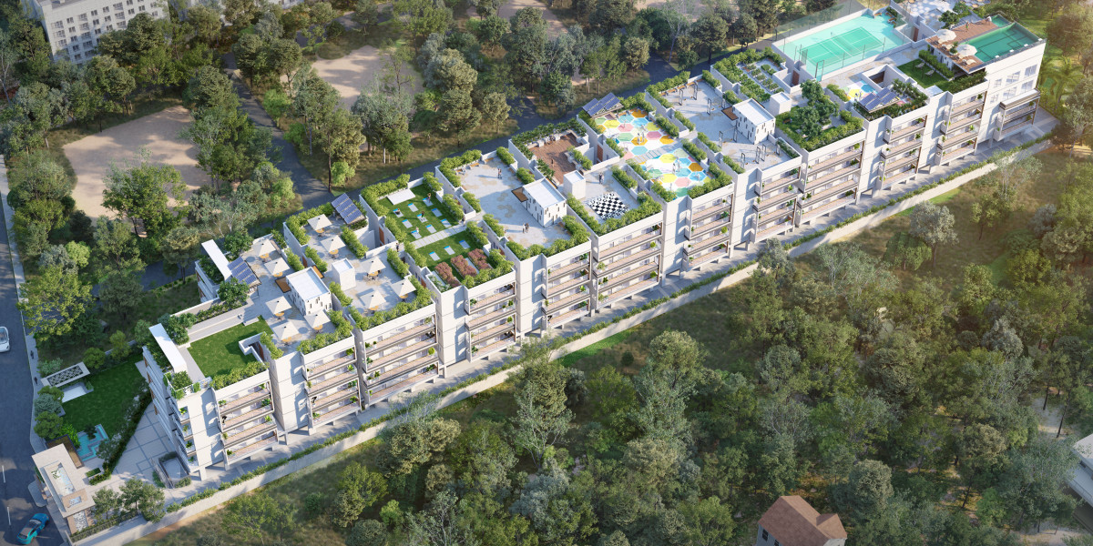 The Acorn Hive: Modern Apartments Crafted for Urban Comfort and Green Living