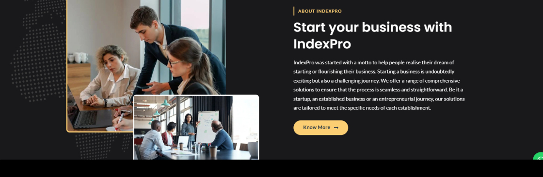 Index Pro Cover Image