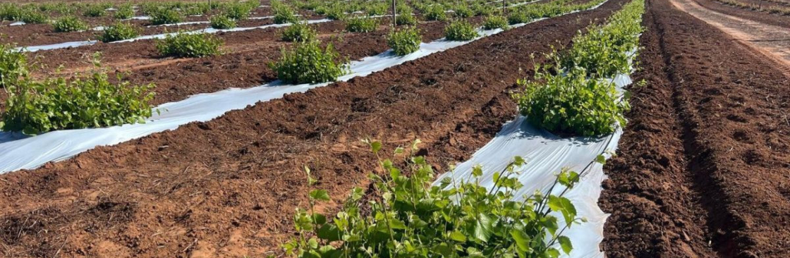 Bio Agri Cover Image