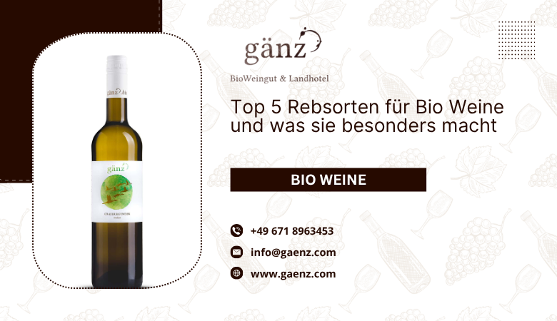 BioWeingut Gaenz — Top 5 Rebsorten für Bio Weine und was sie besonders macht