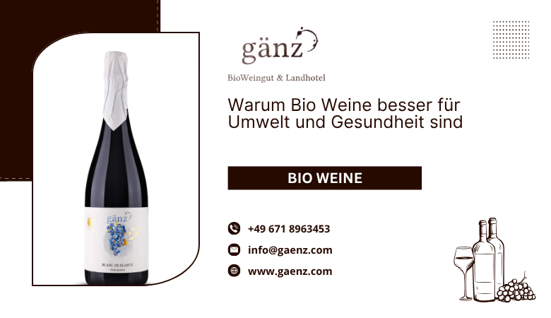 Warum Bio Weine besser für Umwelt und Gesundheit sind – BioWeingut Gaenz