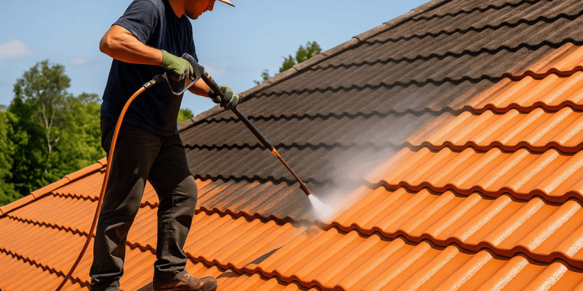The Importance of Regular Roof Cleaning on the Sunshine Coast