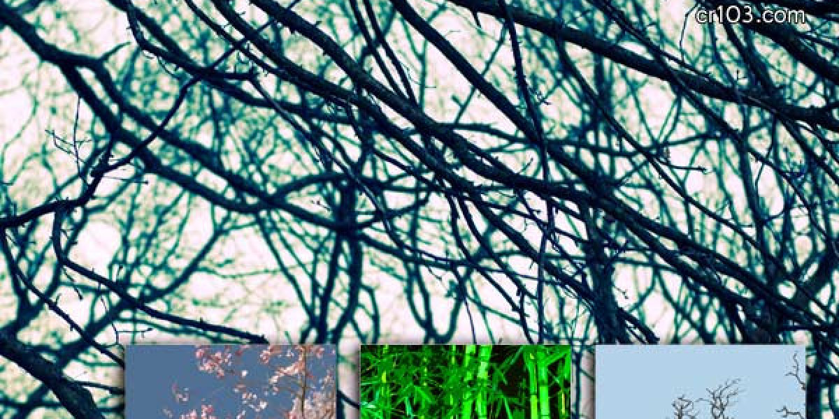 10 Best Online Casinos for Real Money: Play and Win in 2025