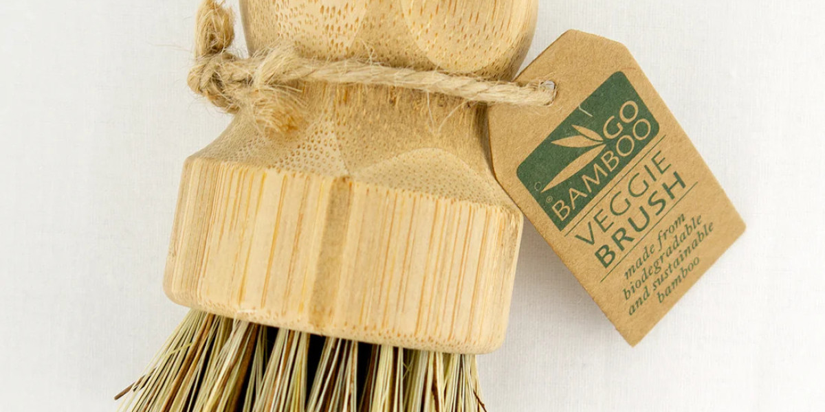 Make Sustainable Choices and Improve Your Quality of Life