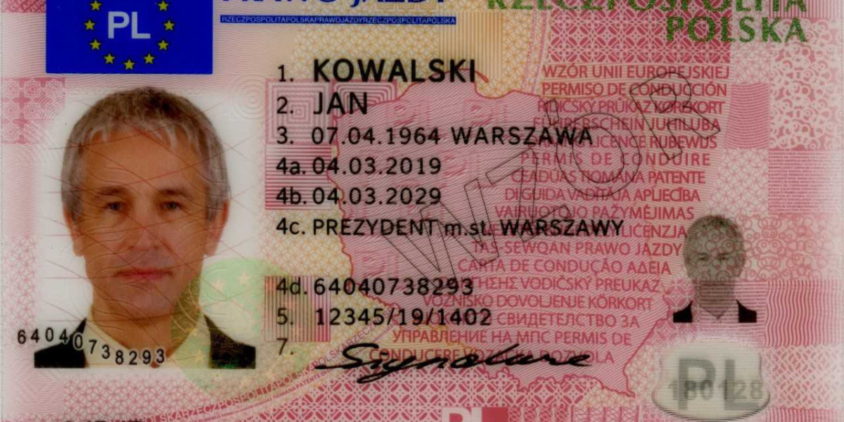 11 "Faux Pas" That Are Actually Okay To Use With Your International Driver's License For Poland