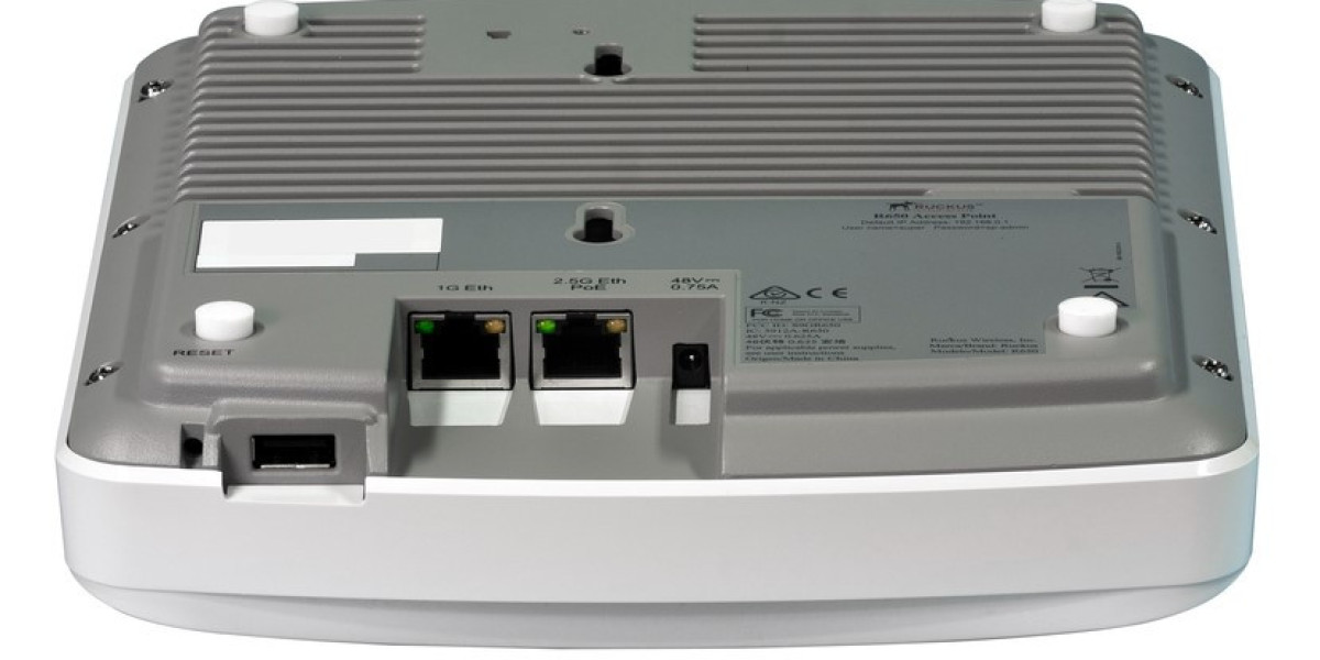 Unleash Next-Level Connectivity with the Ruckus R650 Datasheet