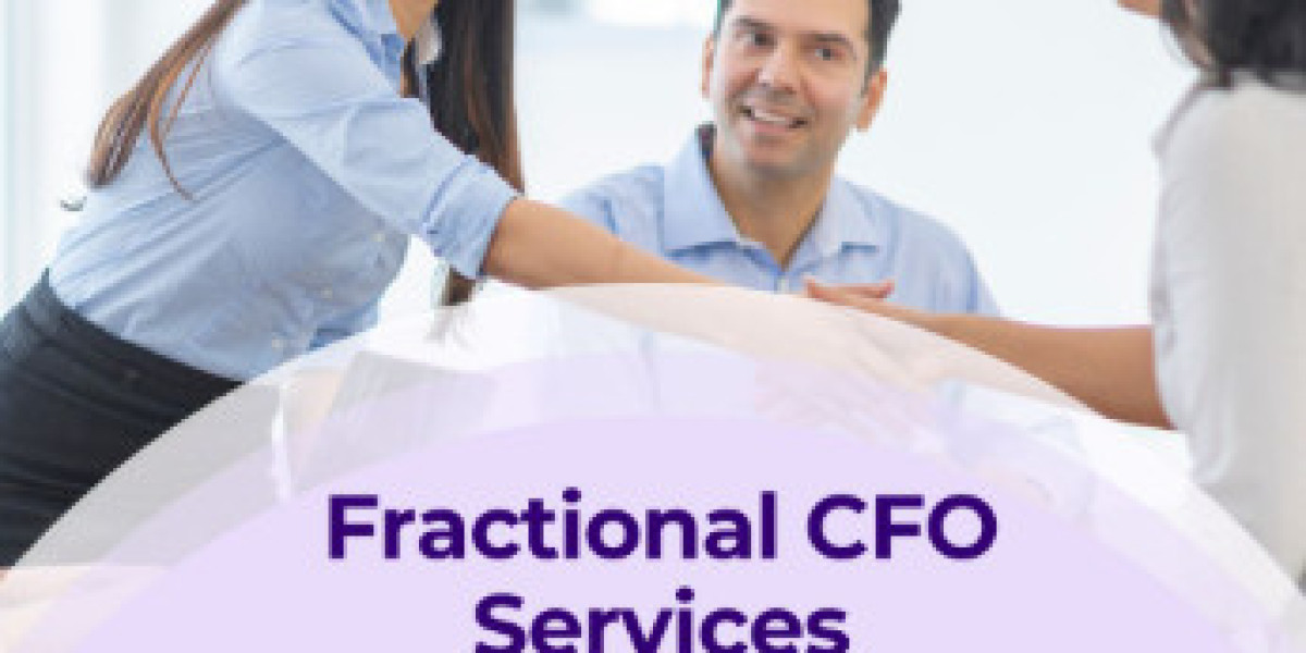 Why Every E-Commerce Business Needs a CFO to Scale Profitably