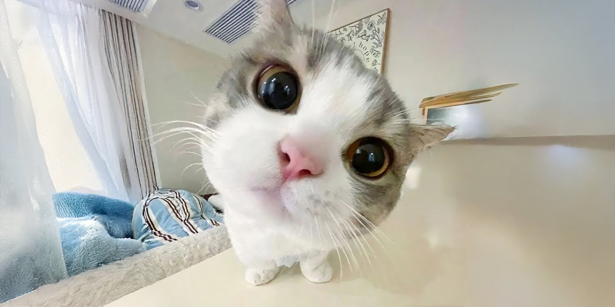 Drew House Clothing || Official Site 30% OFF || Buy Now