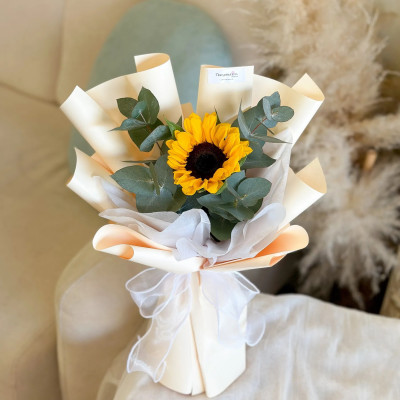 Gown Profile Picture