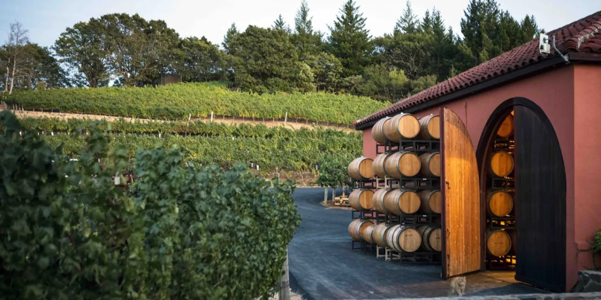 Your Perfect Wine Adventure: A Sonoma Valley Winery Tour