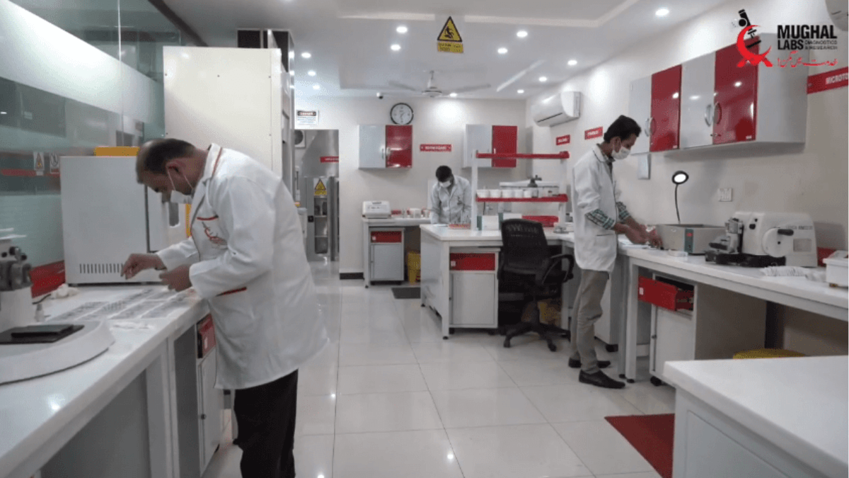 Mughal Labs - Best Testing Center & Laboratory in Lahore