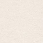 ROTEX UAE Profile Picture