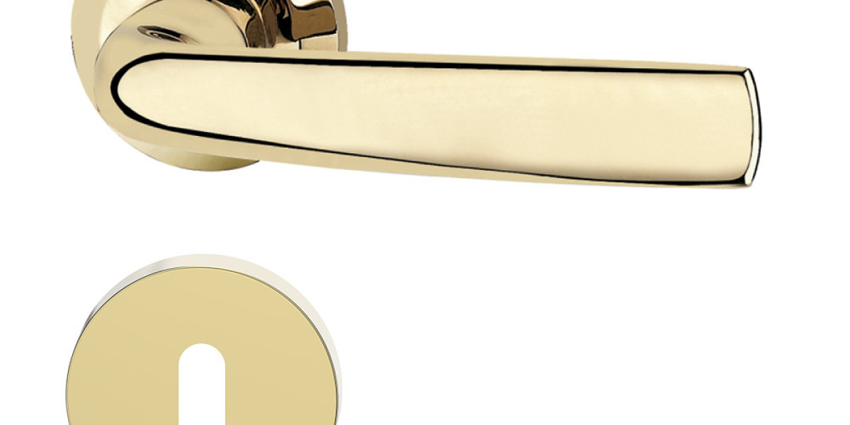 Tailored Door Lock Solutions for International Projects | Intelliware