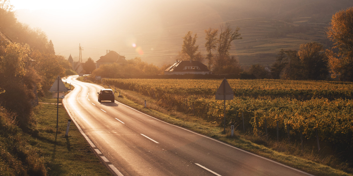 Watch This: How Czech Driving License Renewal Process Is Gaining Ground And What Can We Do About It