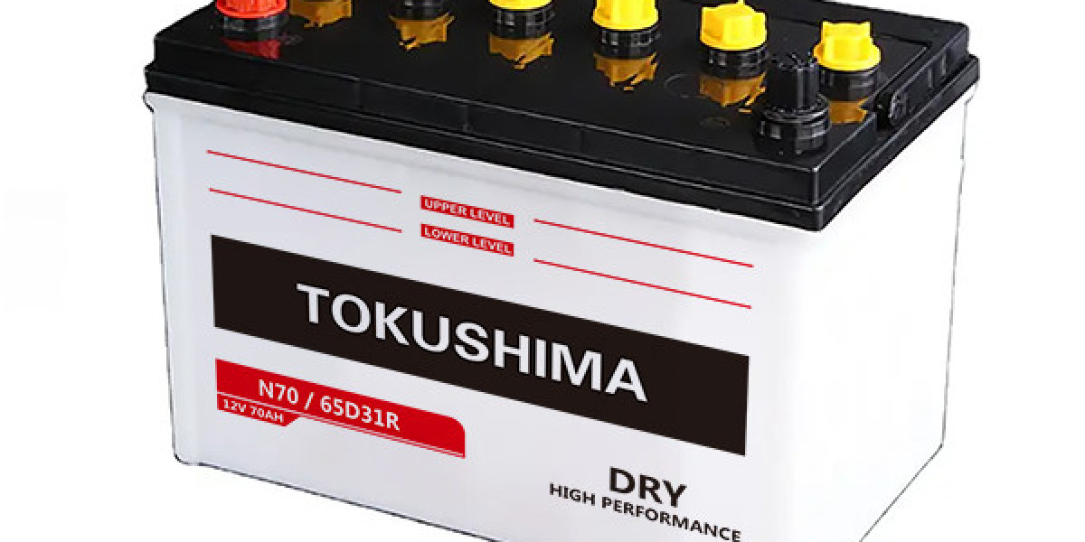 The Top Automotive Batteries for Hybrid and Electric Cars