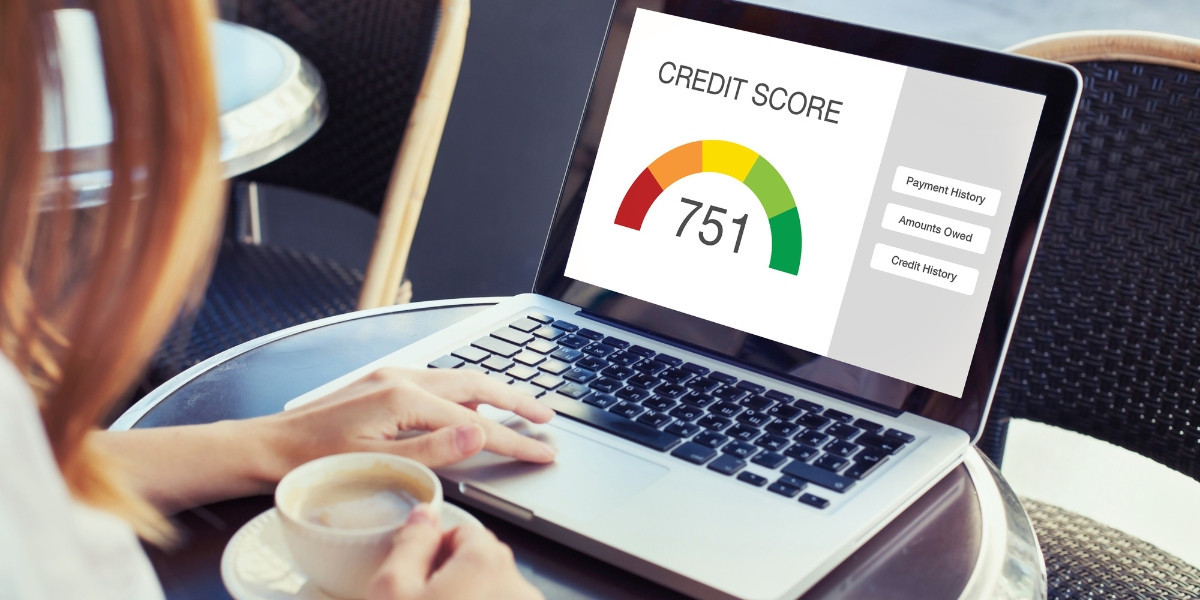 Fake Credit Report Generator: The Smart Way to Track and Improve Your Financial Health