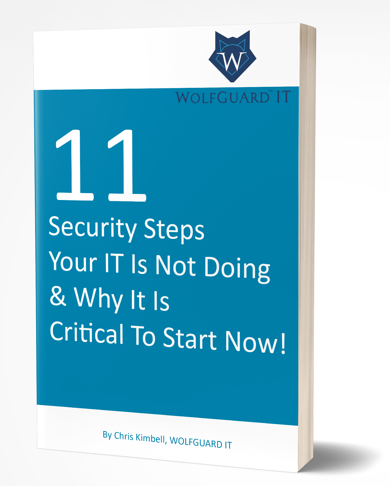 Computer Repair Naples, Ft. Myers, Orlando, Estero