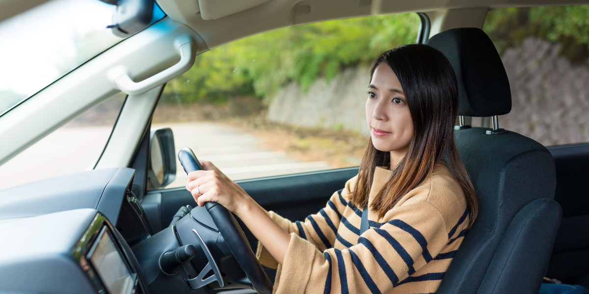 What's The Current Job Market For Professional Drivers Licence Professionals Like?