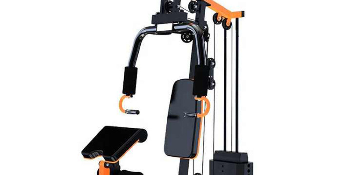 Supply Chain Solutions for Fitness Retailers: Lehe Sport Expertise