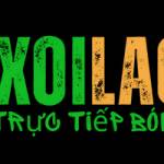 Xoilac Tvad Profile Picture